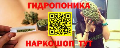 мяу мяу кристалл Тверь