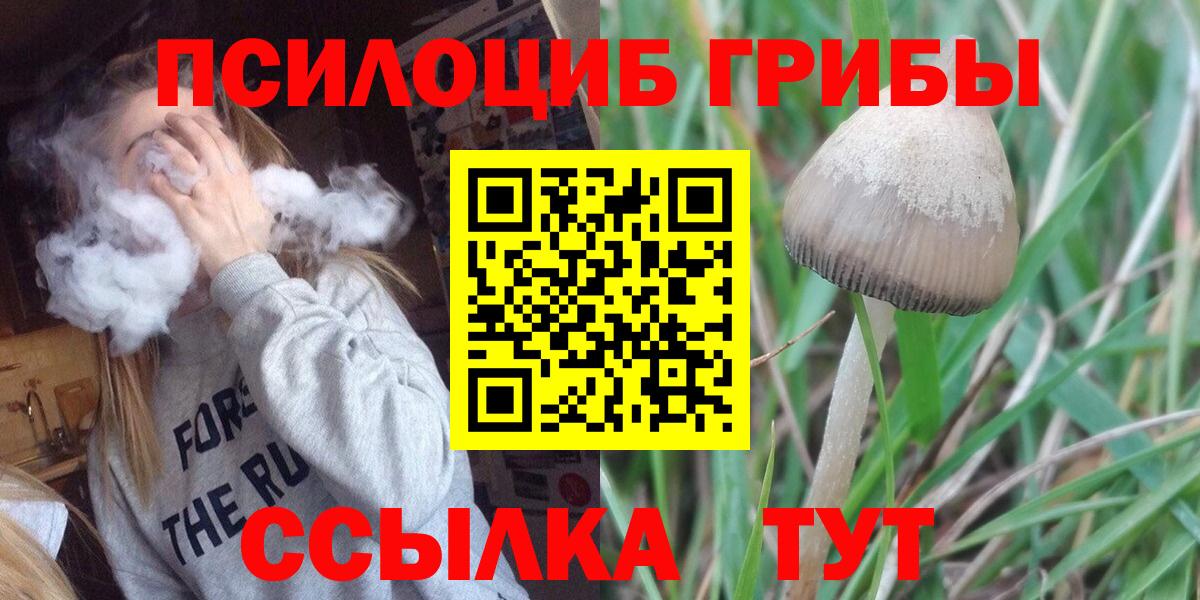 Первоуральск  Псилоцибиновые грибы Psilocybe  Вход с VPN  Псилоцибиновые грибы Psilocybe 